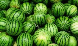 太原网红吃瓜事件真相